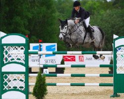 broodmare Dutch Cinda Alda Z (Zangersheide riding horse, 2007, from Dutch Capitol)