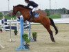 jumper Evilet van Beek (KWPN (Royal Dutch Sporthorse), 2009, from Clintord)