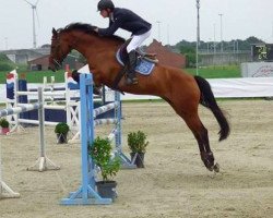 Springpferd Evilet van Beek (KWPN (Niederländisches Warmblut), 2009, von Clintord)