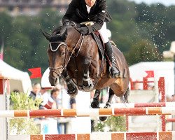 Springpferd Olympe D'Escrit (Selle Français, 2002, von Fidelio du Donjon)