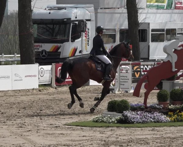 Reitturnier Werne-Lenklar 2019