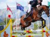 jumper Luziana (Oldenburg show jumper, 2010, from Lord Pezi)