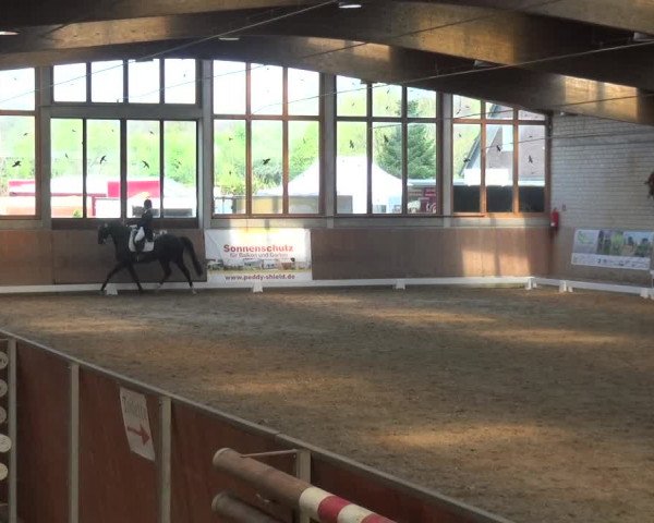 Reitturnier Leverkusen-Rheindorf 2019