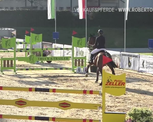 Osterspringen Amriswil 2019