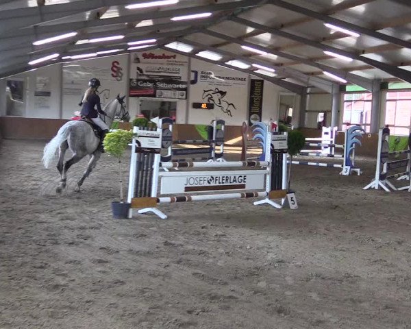 Dohrener Pferdetage 2019