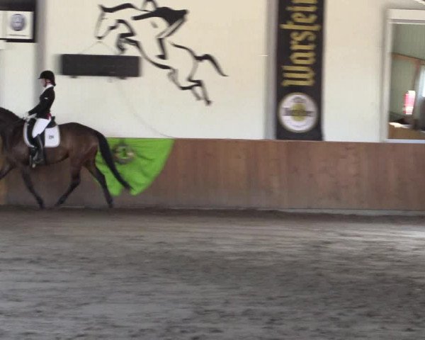 Dohrener Pferdetage 2019