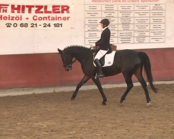 Reitturnier Neunkirchen-Furpach 2019
