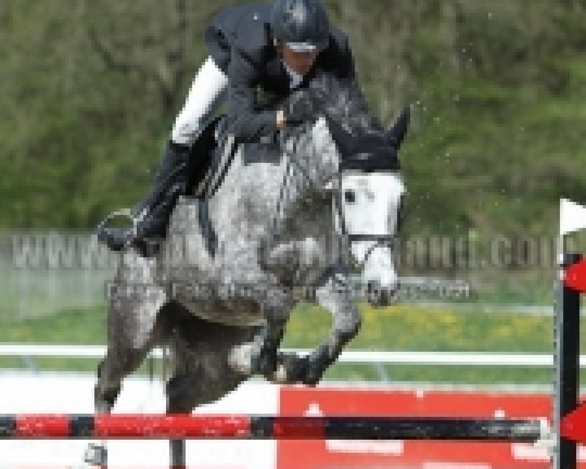 broodmare Uschara (Holsteiner, 2004, from Cassini II)