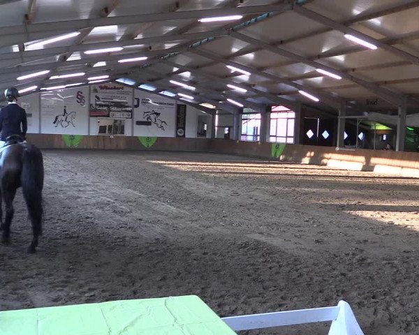 Dohrener Pferdetage 2019