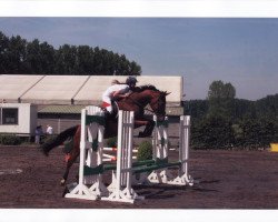 broodmare Antarctica van het Witte Huis (Belgium Sporthorse, 2006, from Couterro U)