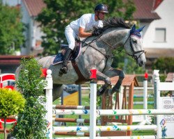 jumper S.i.e.c Love (Oldenburg show jumper, 2010, from Livello)