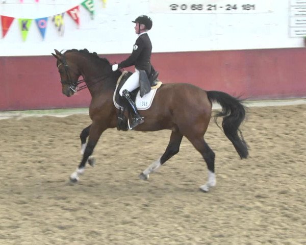 Reitturnier Neunkirchen-Furpach 2019
