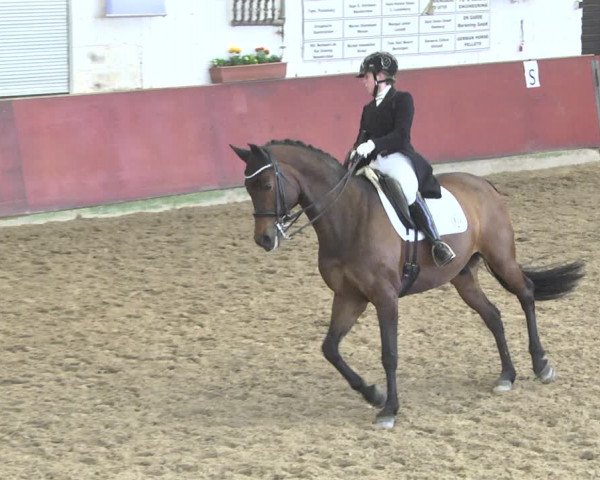 Reitturnier Neunkirchen-Furpach 2019