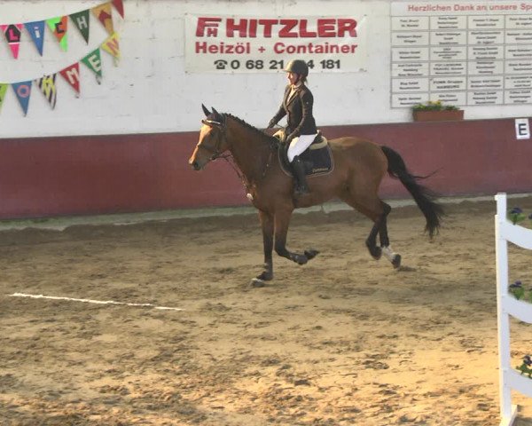 Reitturnier Neunkirchen-Furpach 2019