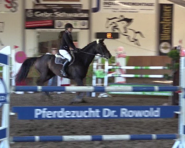 Dohrener Pferdetage 2019