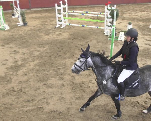 Reitturnier Neunkirchen-Furpach 2019