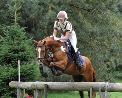 broodmare Hilkens Keniyah (German Riding Pony, 2001, from Branduardi M)