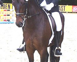 broodmare Mahrdorf Mady (German Riding Pony, 1998, from Dino B)