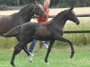 broodmare Hilkens Schneewittchen (German Riding Pony, 2010, from Nemax)