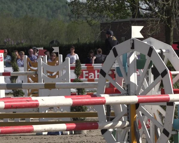 Lenklarer Reitertage 2019