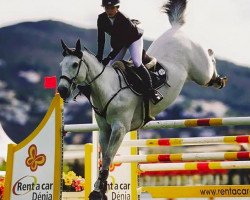 jumper Elton Jones (Belgian Warmblood, 2004, from Clinton I)