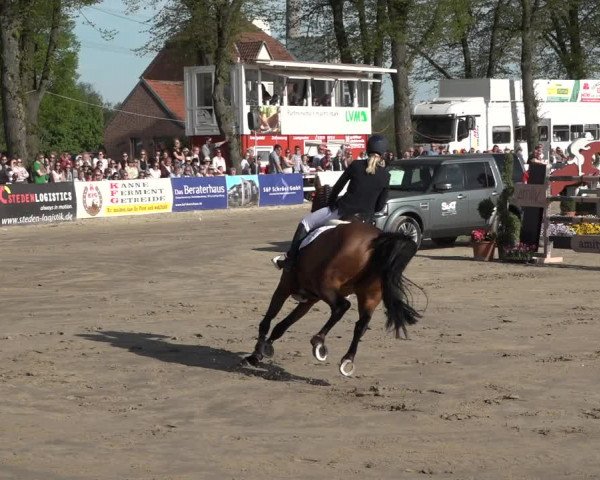 Lenklarer Reitertage 2019