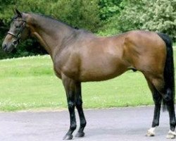 stallion Deploy xx (Thoroughbred, 1987, from Shirley Heights xx)