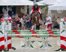 Zuchtstute Ferra van den Bisschop (Belgisches Warmblut, 2005, von Vigo d'Arsouilles)