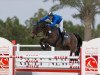 Springpferd Gucci van het Hezerhof (Belgisches Warmblut, 2006, von Winningmood van de Arenberg)