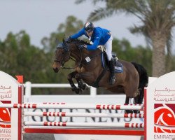 jumper Gucci van het Hezerhof (Belgian Warmblood, 2006, from Winningmood van de Arenberg)