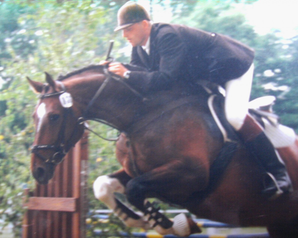 Pferd Gramonn (Mecklenburger, 1993, von Grannenstolz)