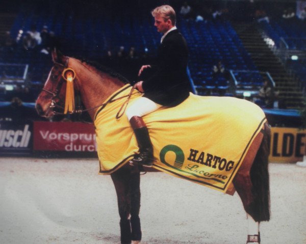 Pferd Antares (Mecklenburger, 1995, von Adriano)