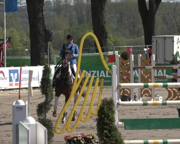 Lenklarer Reitertage 2019