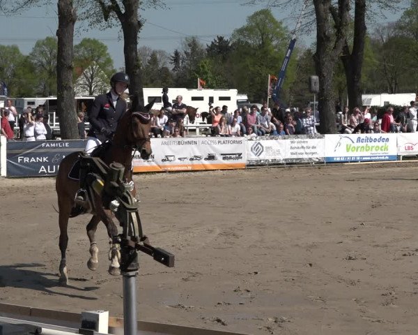 Lenklarer Reitertage 2019