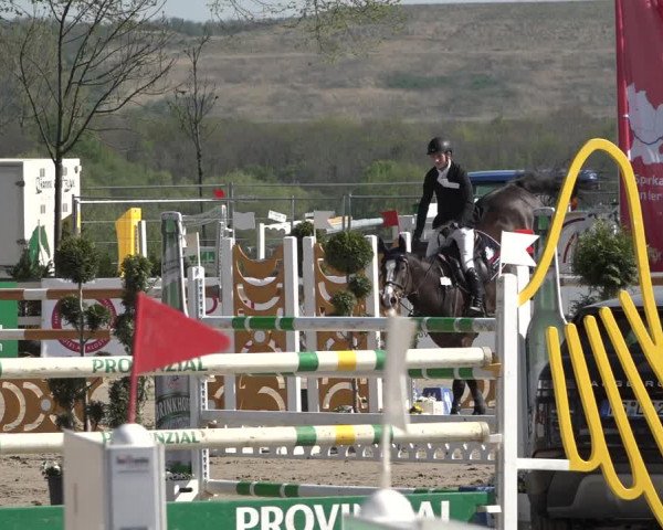 Lenklarer Reitertage 2019