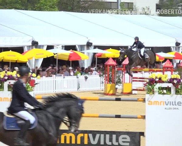Osterspringen Amriswil 2019