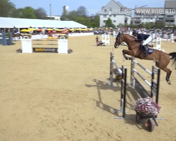 Osterspringen Amriswil 2019
