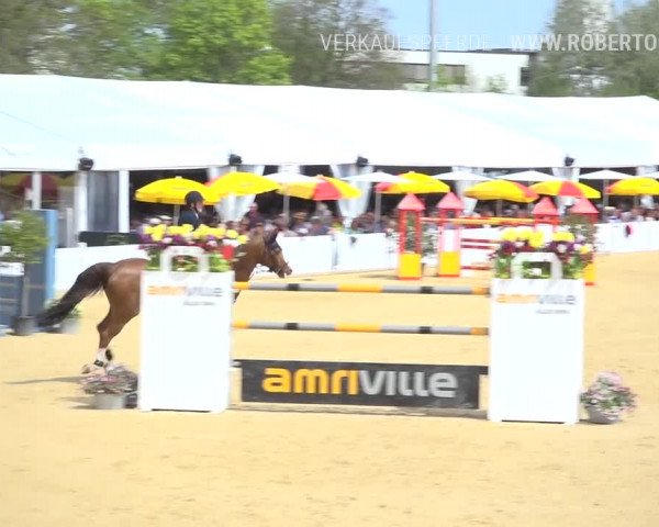 Osterspringen Amriswil 2019