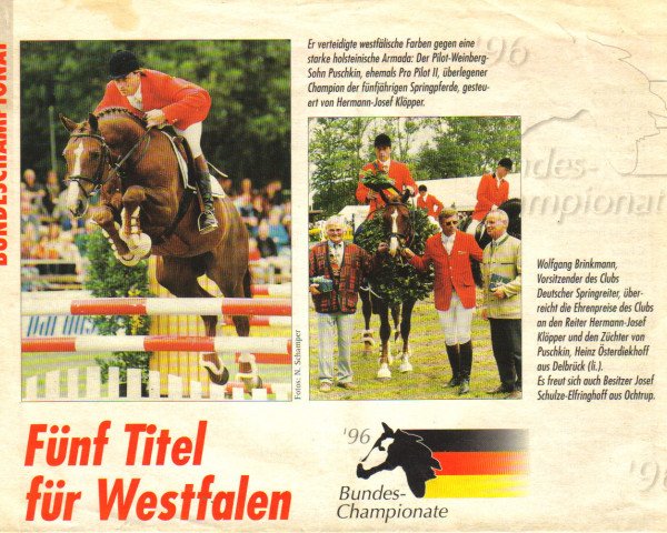 Pferd Pro Pilot II (Westfale, 1991, von Pilot)