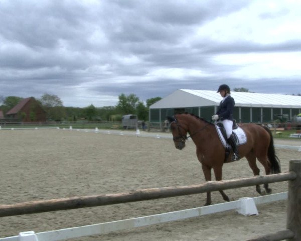 Reitturnier Warendorf, Reitstall am Rothenbach 2019