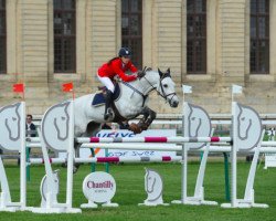 Springpferd Sire du Chateau (Selle Français, 2006, von Mr Blue)