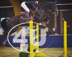 jumper Ricardo (KWPN (Royal Dutch Sporthorse), 1998, from Lancelot)