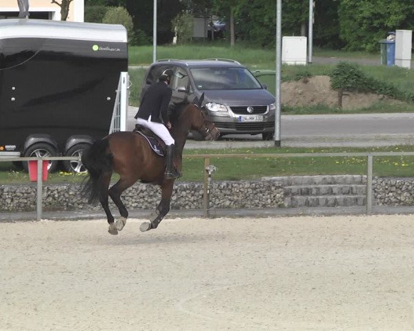 Reitturnier Ingolstadt-Hagau 2019