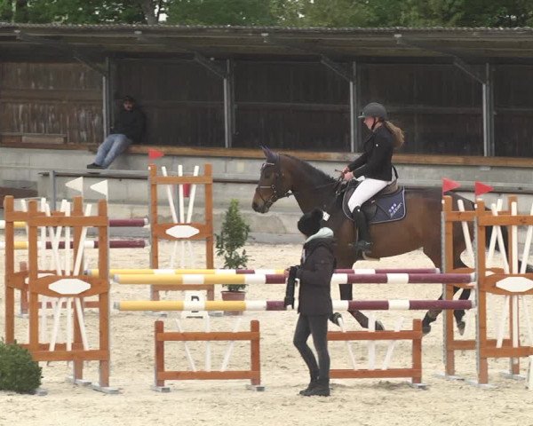 Reitturnier Ingolstadt-Hagau 2019