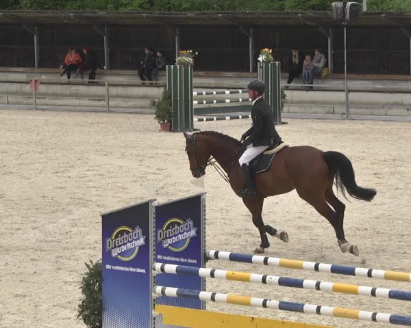 Reitturnier Ingolstadt-Hagau 2019