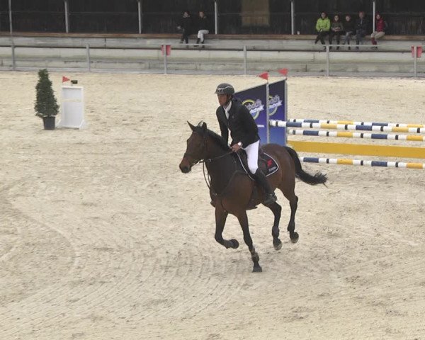 Reitturnier Ingolstadt-Hagau 2019