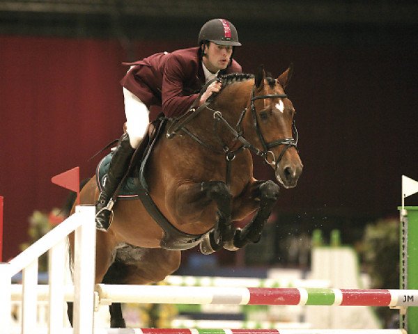 stallion Sarantos (Dutch Warmblood, 1999, from Emilion)