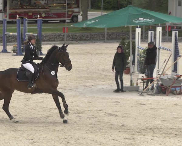 Reitturnier Ingolstadt-Hagau 2019