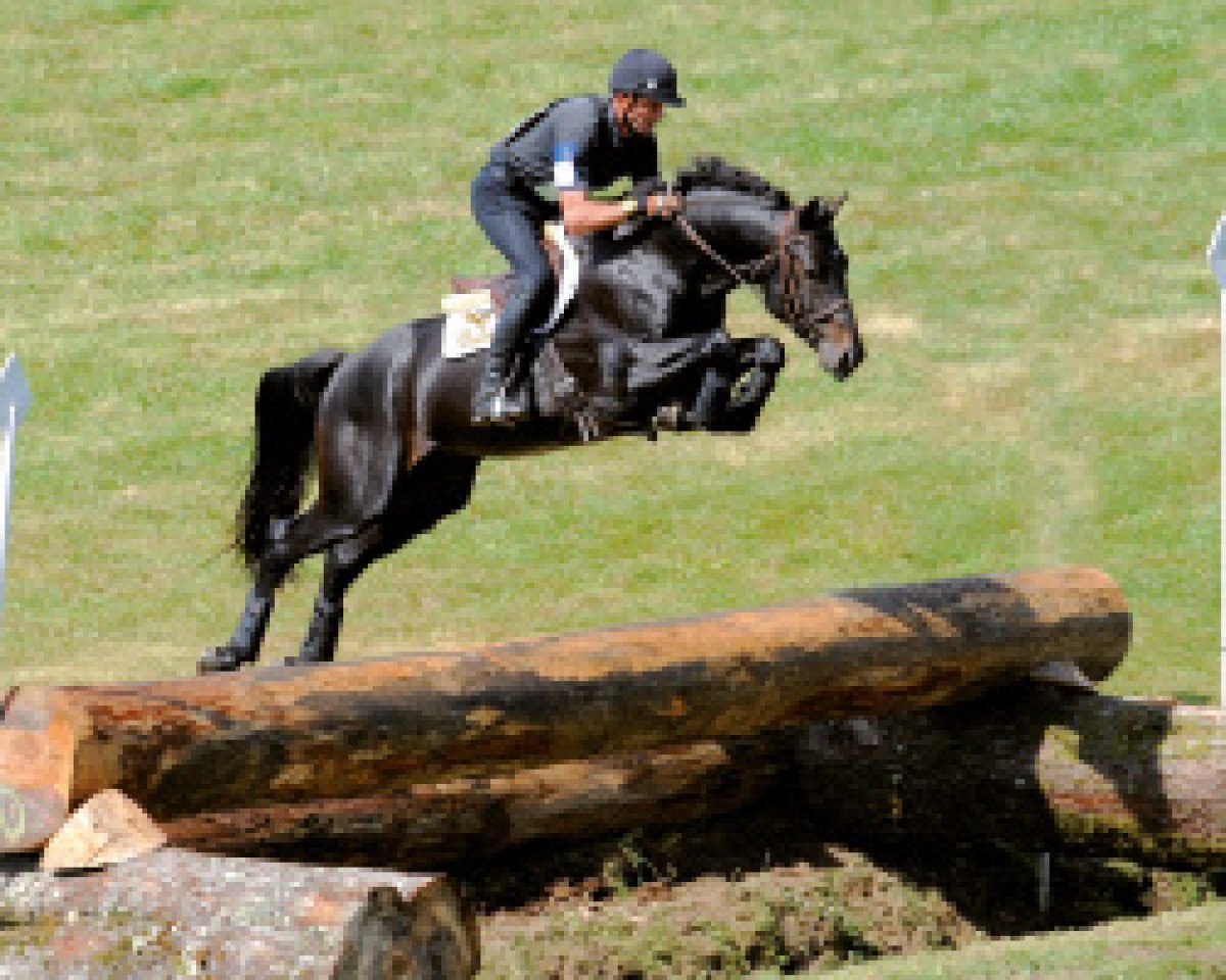 stallion Quality Bois Margot (Selle Français, 2004, from L'Arc de Triomphe)