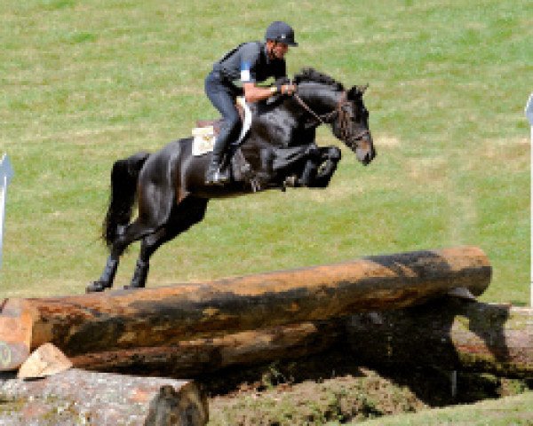 stallion Quality Bois Margot (Selle Français, 2004, from L'Arc de Triomphe)